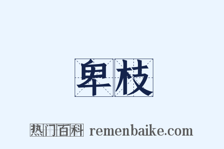 卑枝是什么意思的图片